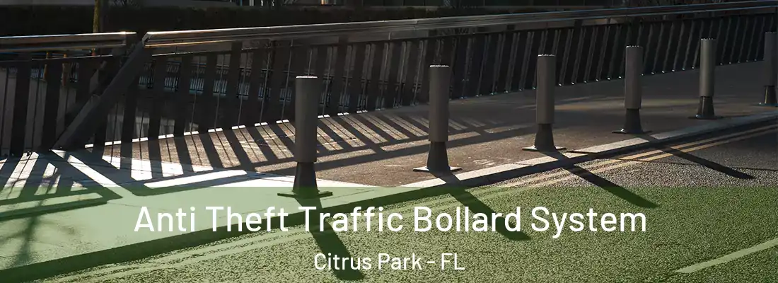  Anti Theft Traffic Bollard System Citrus Park - FL