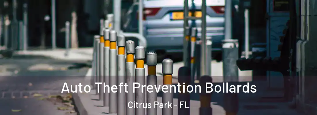  Auto Theft Prevention Bollards Citrus Park - FL