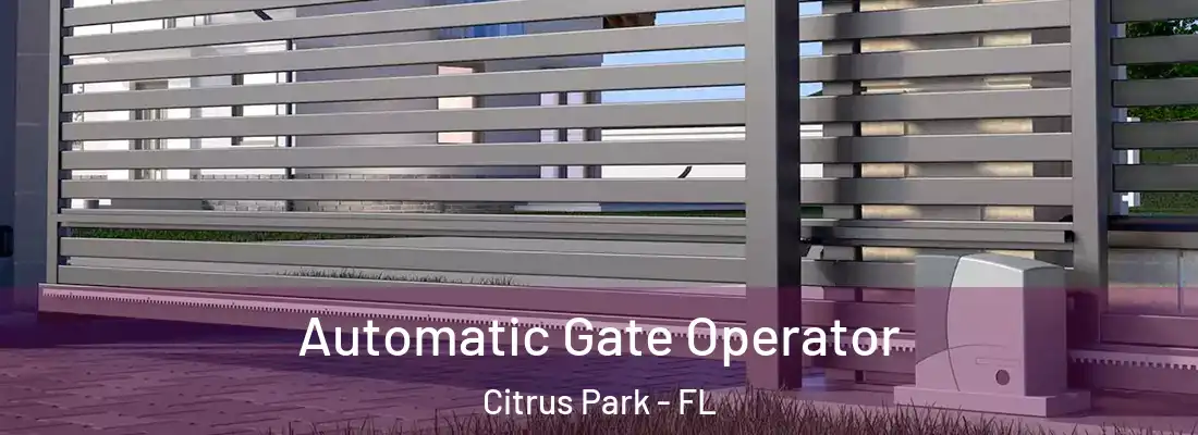  Automatic Gate Operator Citrus Park - FL