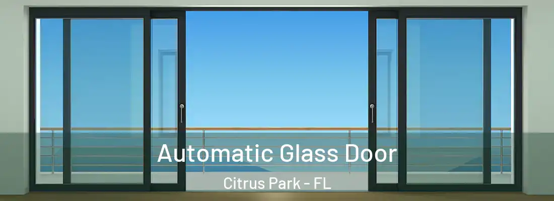  Automatic Glass Door Citrus Park - FL