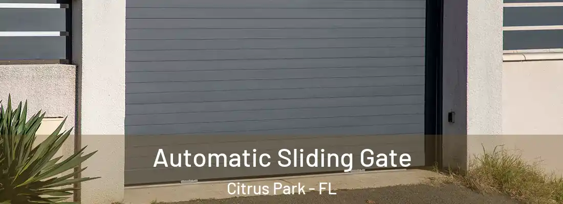  Automatic Sliding Gate Citrus Park - FL