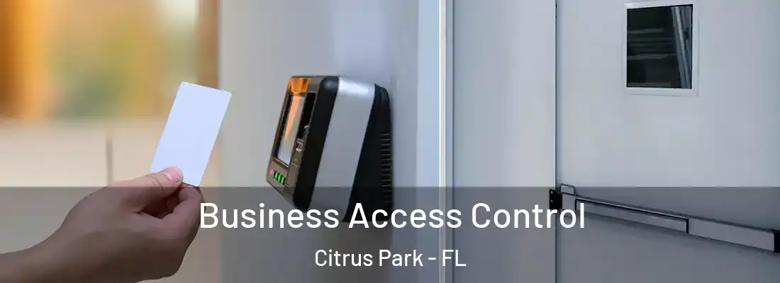  Business Access Control Citrus Park - FL