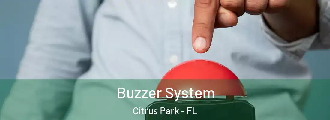  Buzzer System Citrus Park - FL