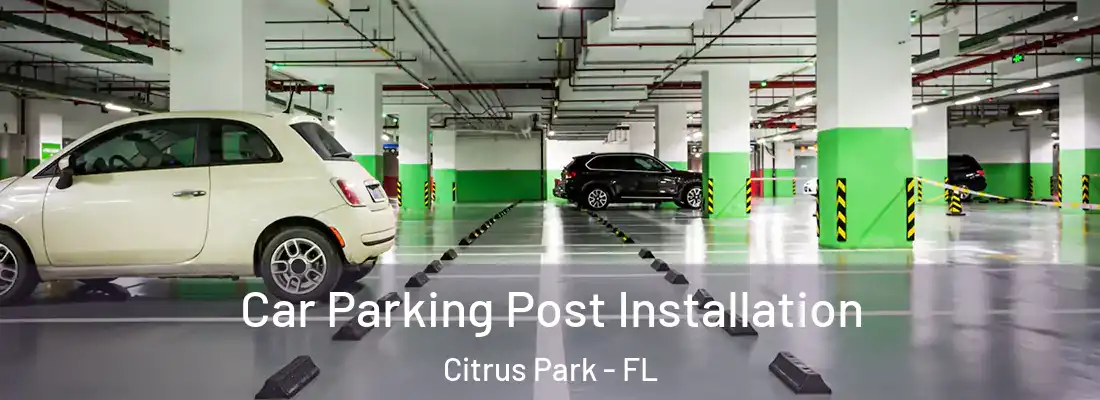  Car Parking Post Installation Citrus Park - FL
