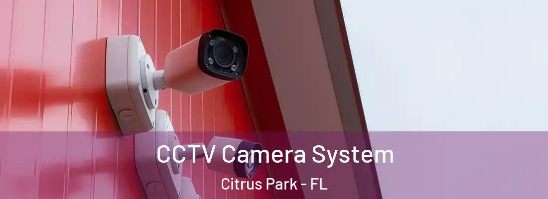CCTV Camera System Citrus Park - FL