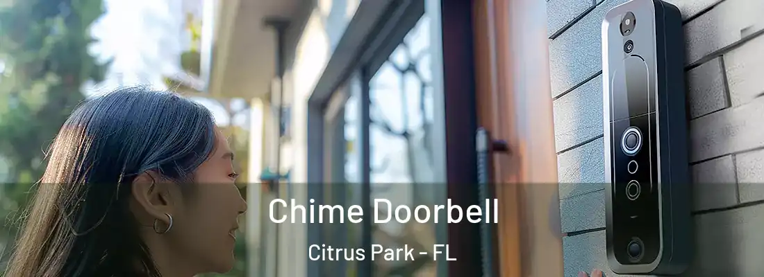 Chime Doorbell Citrus Park - FL