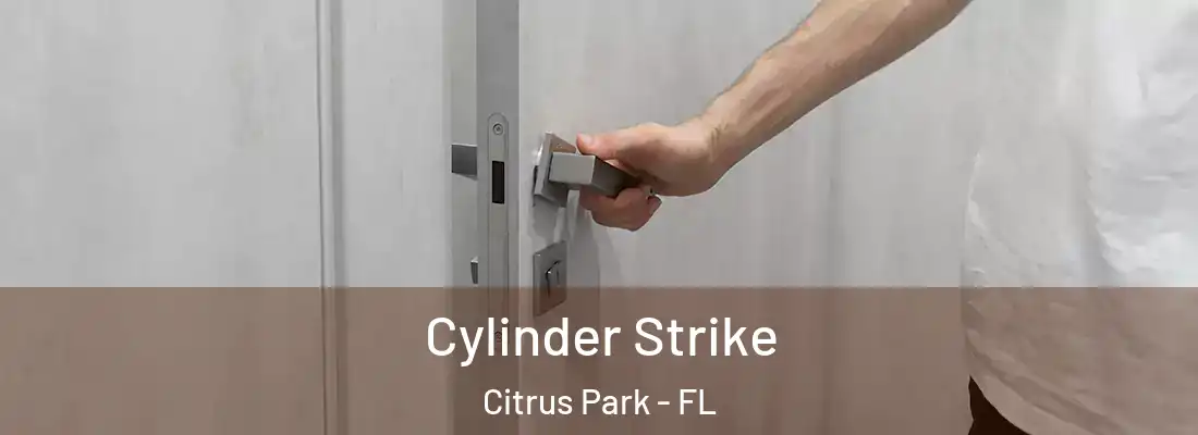  Cylinder Strike Citrus Park - FL