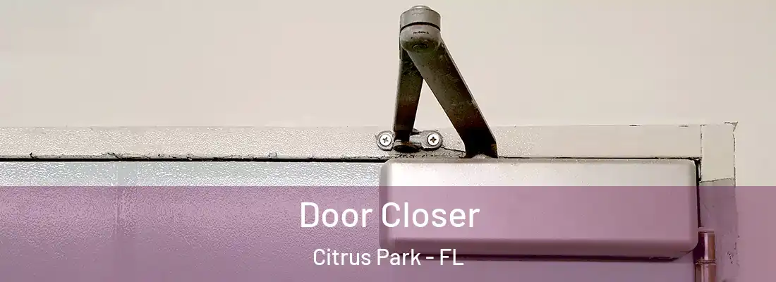 Door Closer Citrus Park - FL