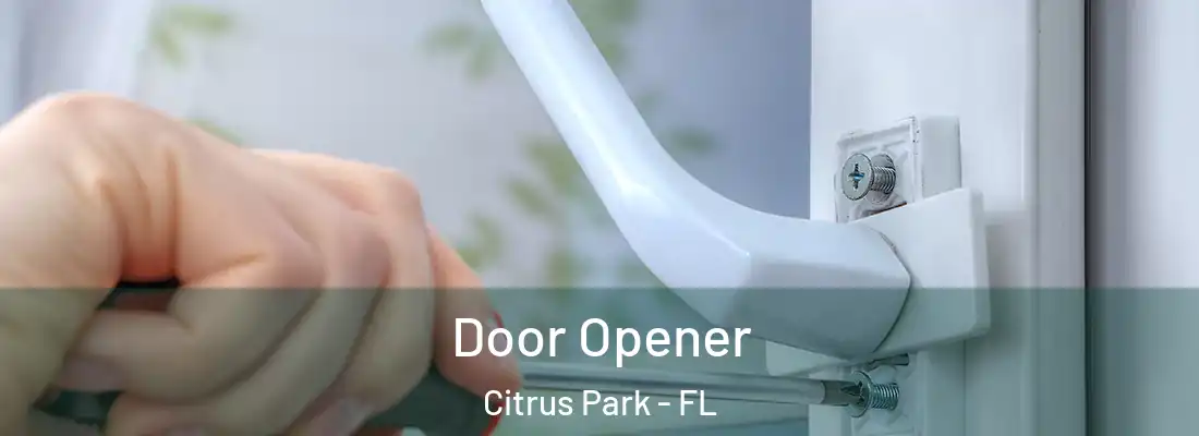 Door Opener Citrus Park - FL
