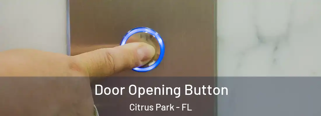  Door Opening Button Citrus Park - FL