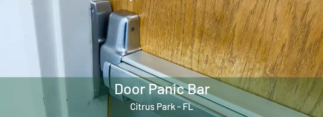 Door Panic Bar Citrus Park - FL