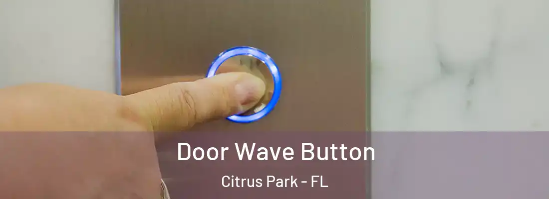  Door Wave Button Citrus Park - FL