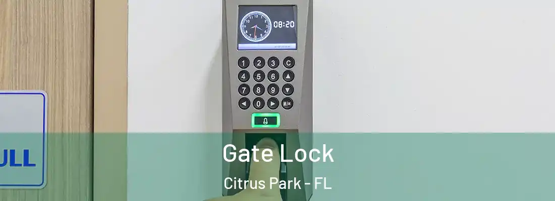  Gate Lock Citrus Park - FL