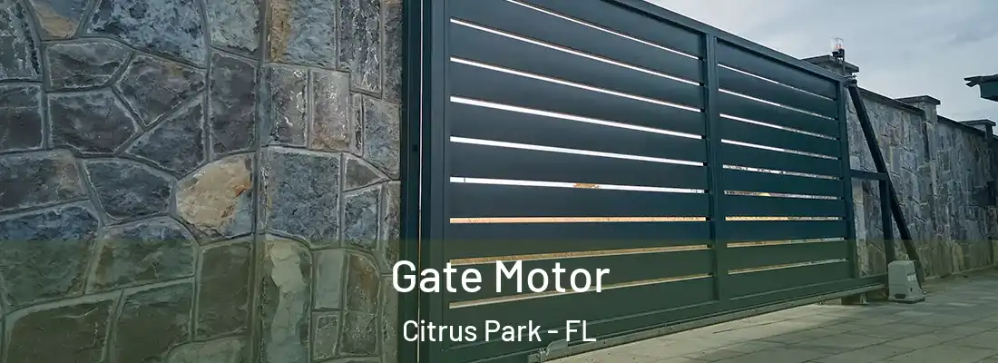 Gate Motor Citrus Park - FL