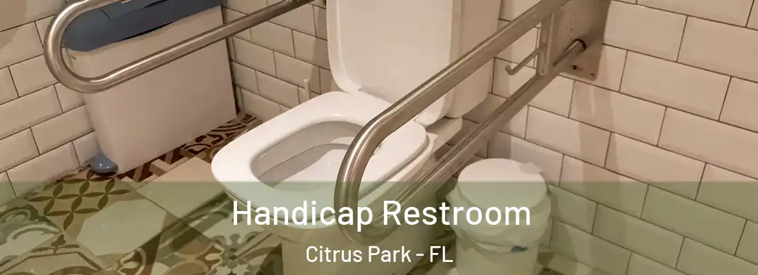  Handicap Restroom Citrus Park - FL