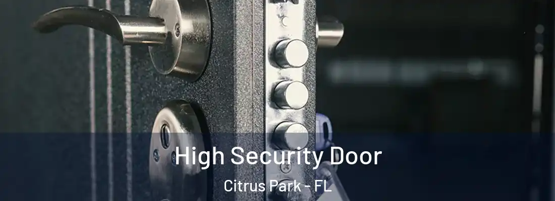 High Security Door Citrus Park - FL