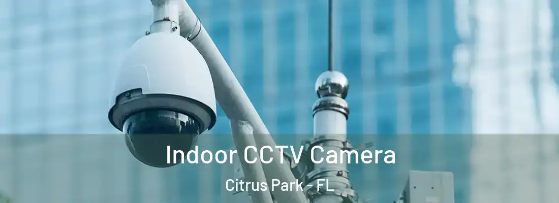  Indoor CCTV Camera Citrus Park - FL