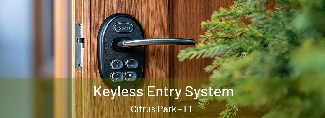 Keyless Entry System Citrus Park - FL