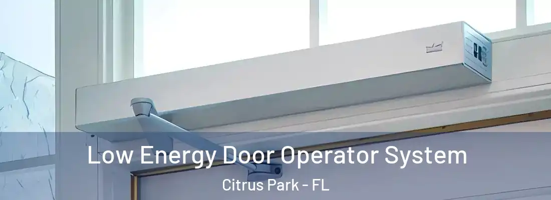  Low Energy Door Operator System Citrus Park - FL