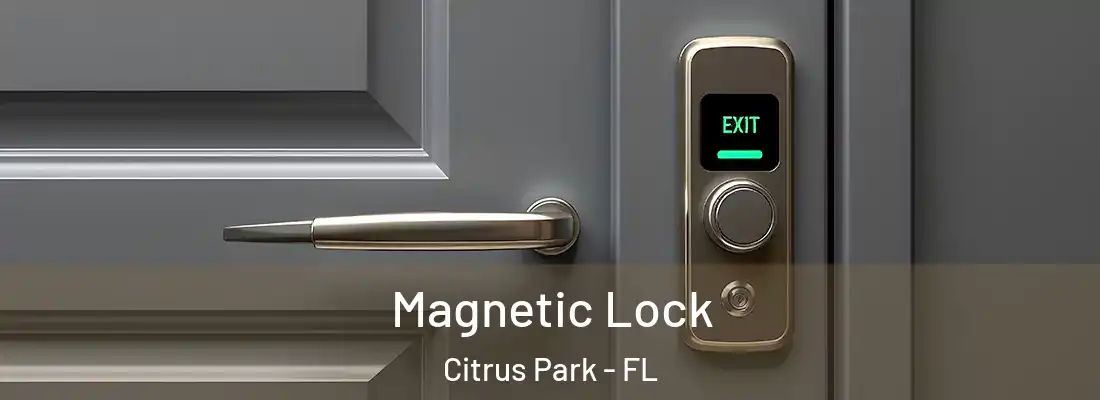 Magnetic Lock Citrus Park - FL