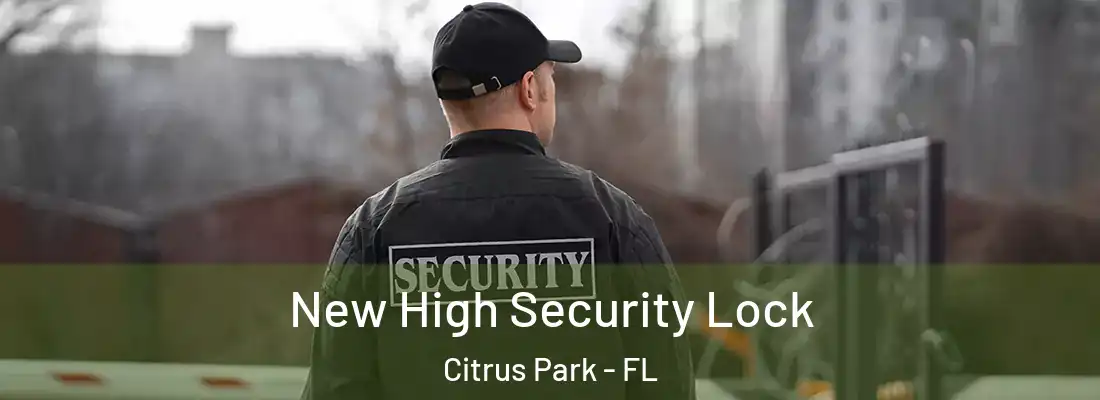  New High Security Lock Citrus Park - FL