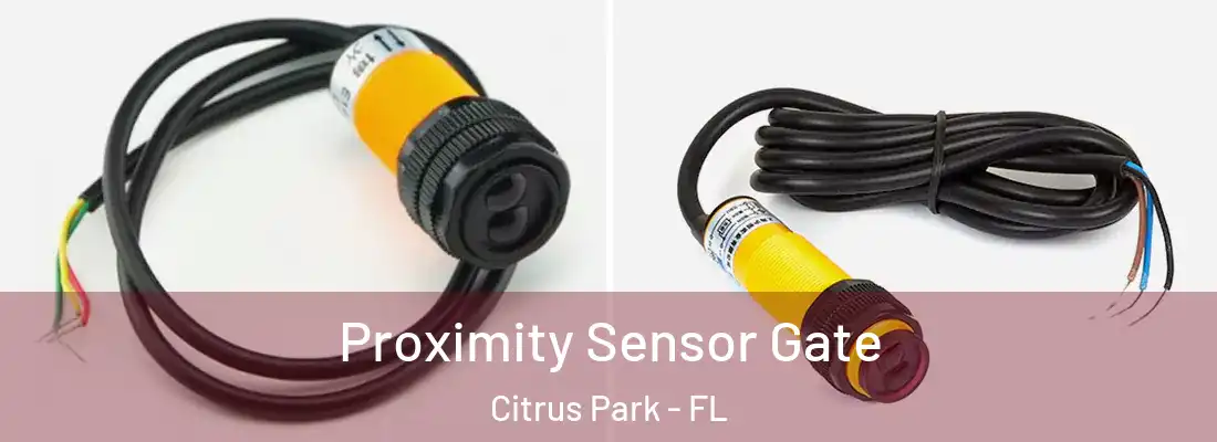  Proximity Sensor Gate Citrus Park - FL