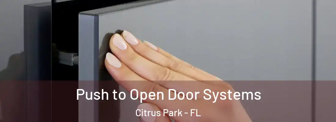  Push to Open Door Systems Citrus Park - FL