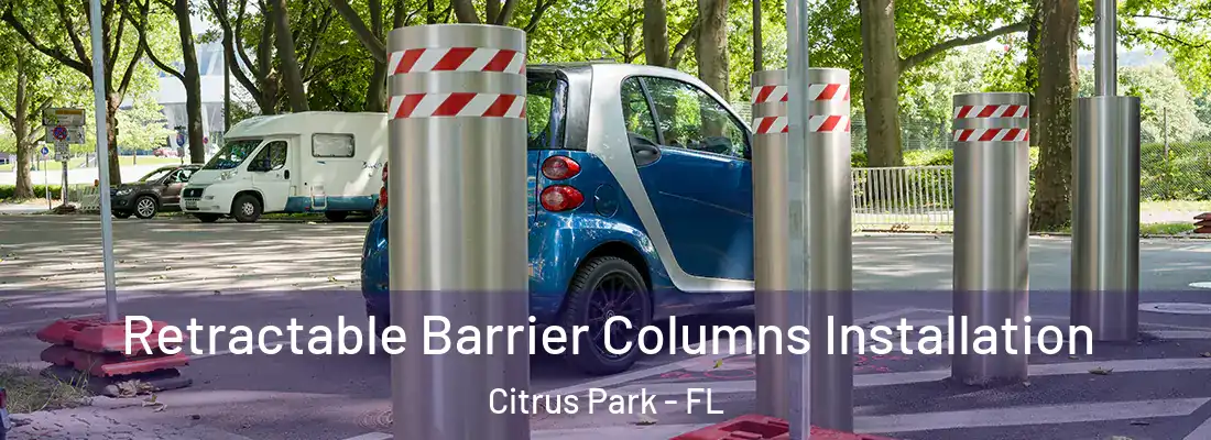  Retractable Barrier Columns Installation Citrus Park - FL