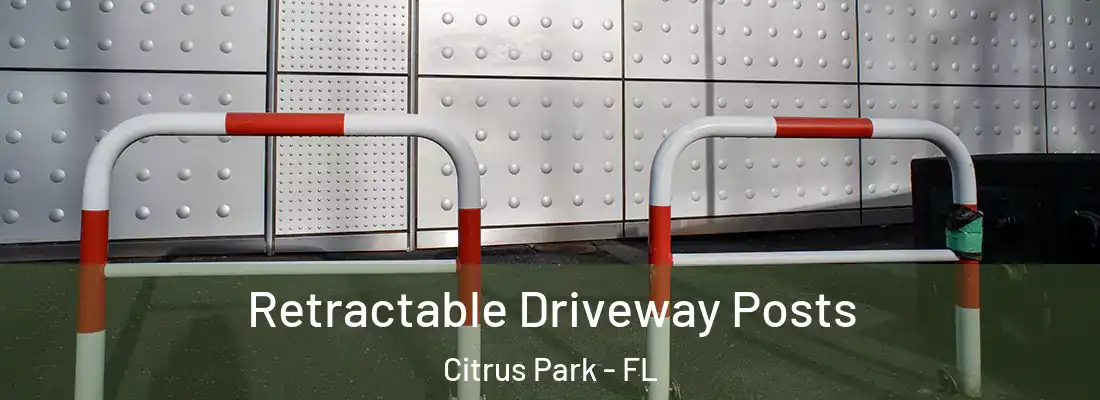  Retractable Driveway Posts Citrus Park - FL