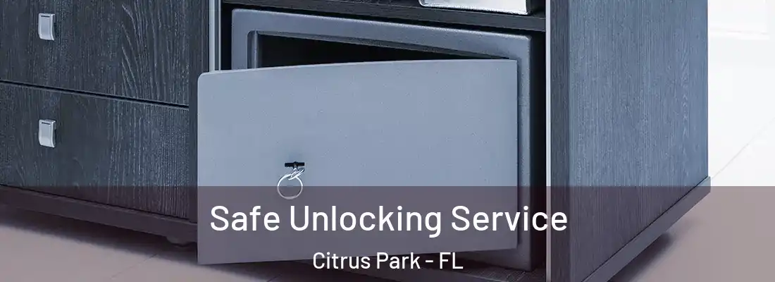  Safe Unlocking Service Citrus Park - FL