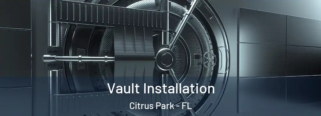 Vault Installation Citrus Park - FL