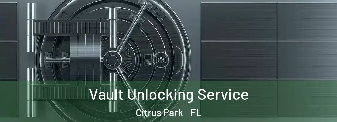  Vault Unlocking Service Citrus Park - FL